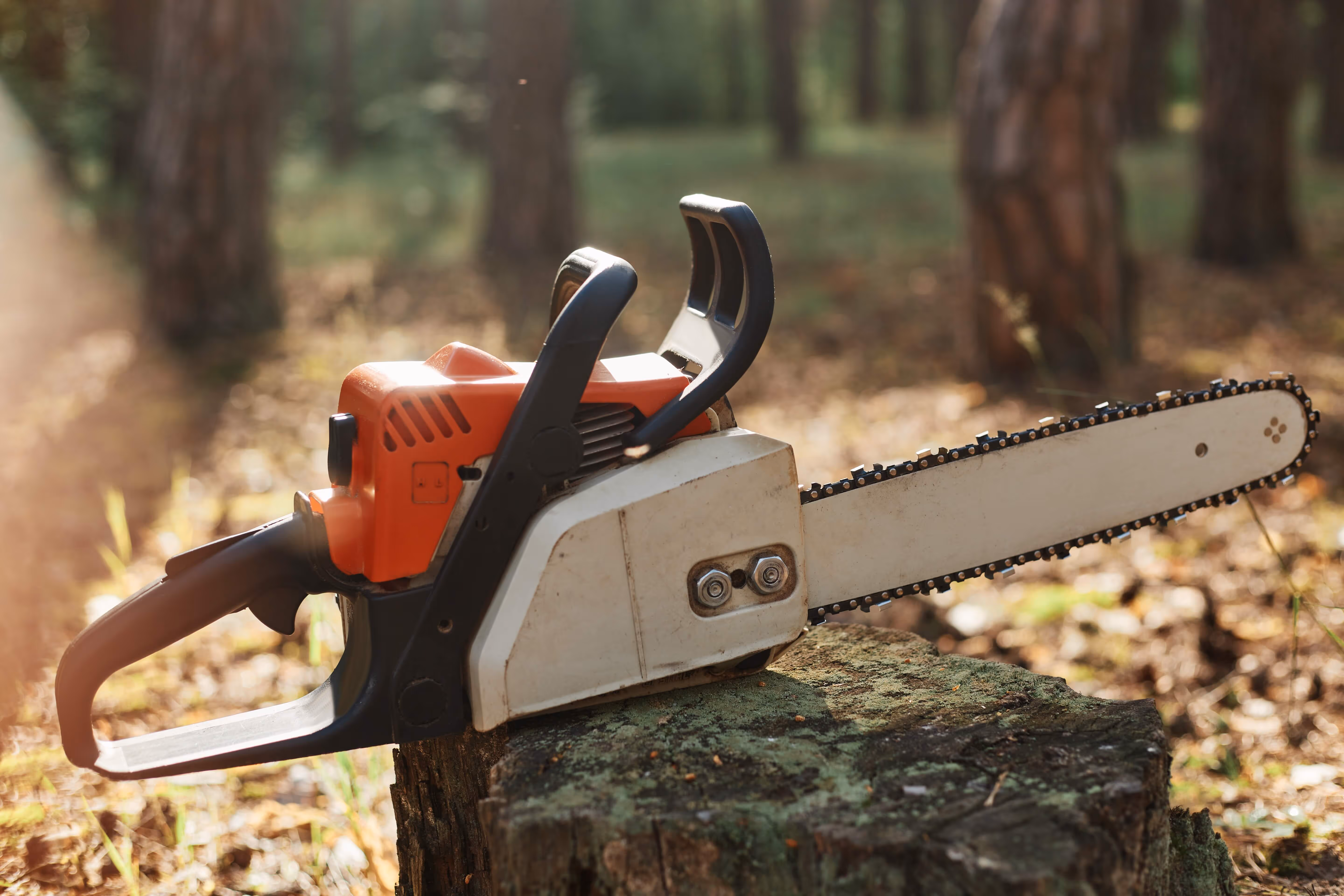 Close-up of a chainsaw on a tree stump representing tool hire